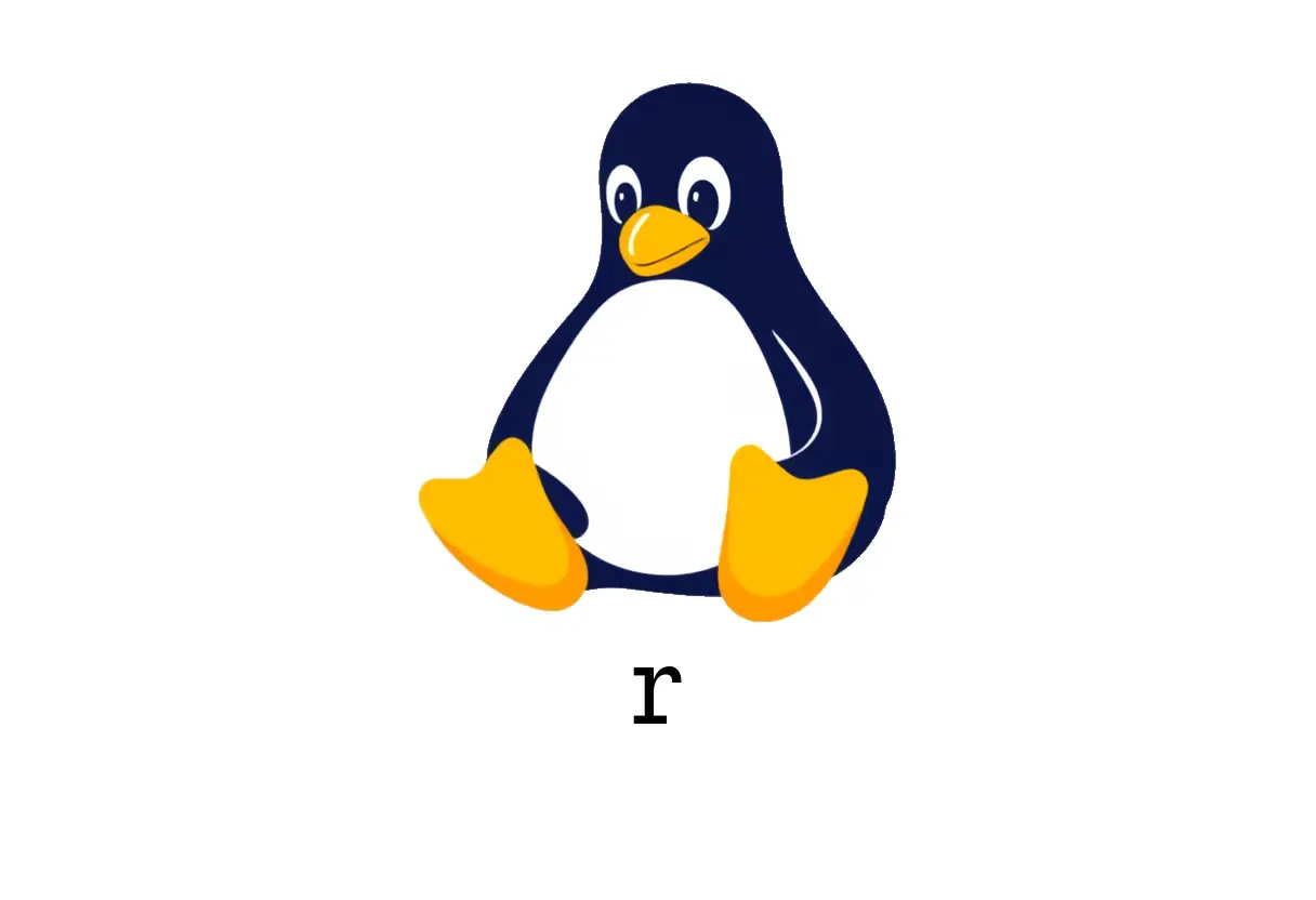 Using the R command (r): Quick Start